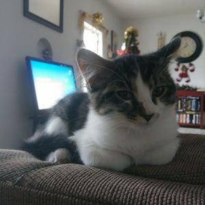 Meet your Posher, Madison